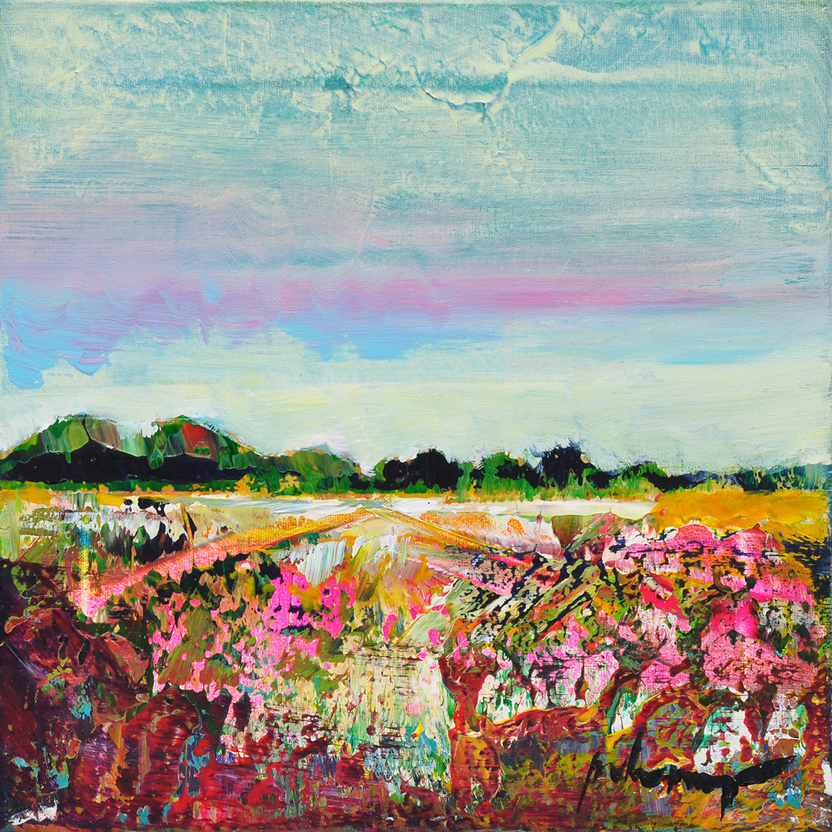 Peter Meijer + Highlands Hardangervidda